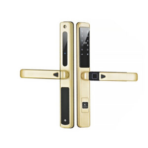 Khóa điện tử cửa nhôm Kassler KL-599 SLIDE