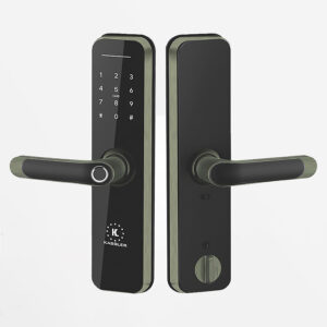 Khóa Điện Tử Giá Rẻ – Top Mẫu Chất Lượng Đáng Mua Nhất 2025 khoa dien tu kassler kl 668 green Bronze