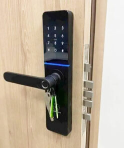 Khóa điện tử cửa gỗ Kassler KL-79H