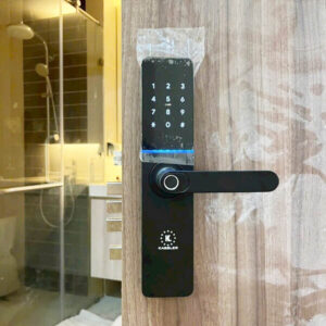 Khóa điện tử cửa gỗ Kassler KL-79H Khóa cửa vân tay Kassler KL-79H