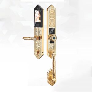 Nhà phân phối khóa Kassler chính hãng tại Việt Nam Khóa điện tử đại sảnh Kassler KL-939F