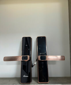 Khóa điện tử cửa gỗ DEMAX SL-C320