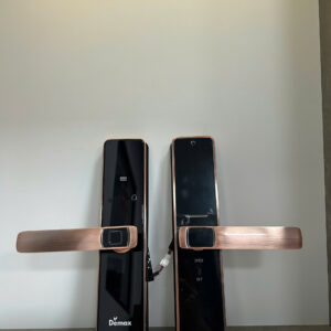 Khóa điện tử cửa gỗ DEMAX SL-C320