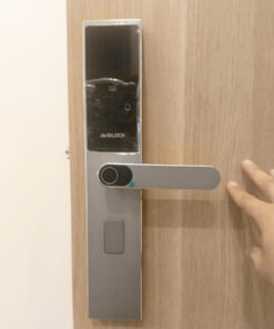 Khóa vân tay Avolock AV 61