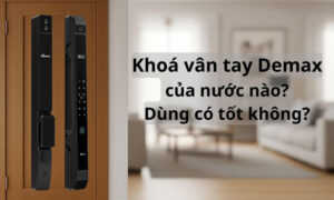 Khoá vân tay Demax của nước nào? Dùng có tốt không? Khoá vân tay Demax của nước nào, dùng có tốt không