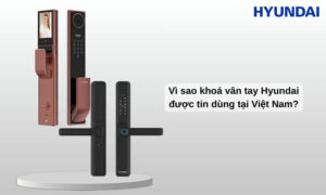 Khoá vân tay Hyundai của nước nào? Có đáng mua không? Vì sao khoá vân tay Hyundai được tin dùng tại Việt Nam