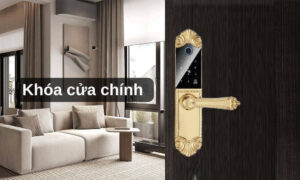 Đừng Lắp Khóa Cửa Chính Khi Chưa Biết Những Điều Này Khóa cửa chính