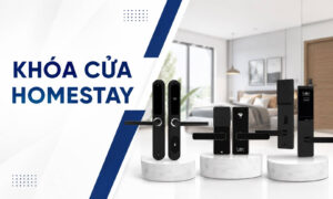 Khóa Cửa Homstay Nên Chọn Loại Nào? Giá & Mẫu Tốt
