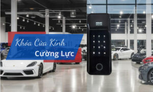 Top các mẫu khóa cửa kính cường lực tốt, bền nhất hiện nay Top các mẫu khóa cửa kính cường lực tốt, bền nhất hiện nay