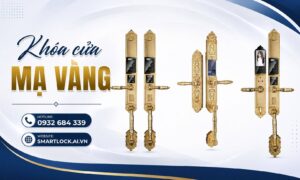 Khóa cửa mạ vàng nên chọn loại nào? Tổng hợp mẫu đẹp, mạ vàng 24K