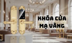 Top các mẫu khóa cửa mạ vàng được ưa chuộng nhất hiện nay Top các mẫu khóa cửa mạ vàng được ưa chuộng nhất hiện nay