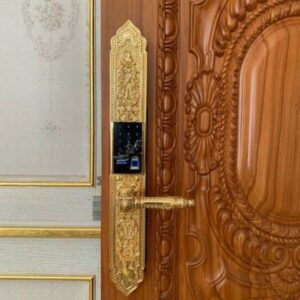 Top các mẫu khóa cửa mạ vàng được ưa chuộng nhất hiện nay Khóa cửa mạ vàng là gì
