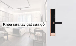 Đừng mua khóa cửa tay gạt cửa gỗ khi chưa xem 5 mẫu này Khóa cửa tay gạt cửa gỗ