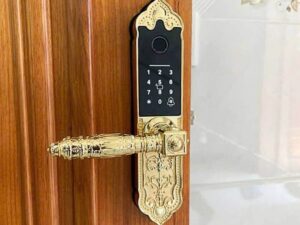 Khóa cửa đại sảnh an toàn bền đẹp cho biệt thự hiện đại Khóa điện tử đại sảnh Kassler KL-919