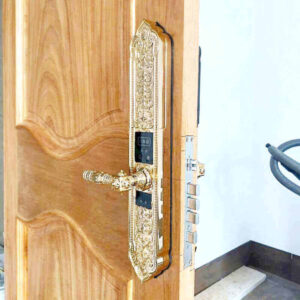 Khóa cửa chính mạ vàng 24k nâng tầm an toàn và đẳng cấp sống Khóa điện tử đại sảnh Kassler KL-989FS