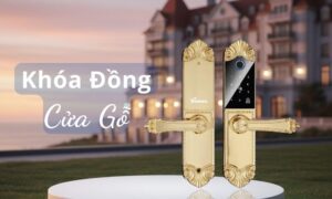 Top Mẫu Khóa Đồng Cửa Gỗ Đáng Mua Nhất Hiện Nay Top Mẫu Khóa Đồng Cửa Gỗ Đáng Mua Nhất Hiện Nay