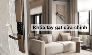 Nâng cấp an ninh nhà bạn với khóa tay gạt cửa chính hiện đại Khóa tay gạt cửa chính