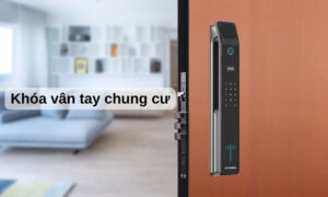 Khóa vân tay chung cư hot nhất 2025 giá tốt bảo mật cao Khóa vân tay chung cư
