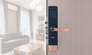 Khóa vân tay cửa nhựa, cửa nhựa giả gỗ chính hãng giá tốt Khóa vân tay cửa nhựa, cửa nhựa giả gỗ chính hãng giá tốt