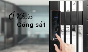 Ổ khóa cổng sắt loại nào tốt? Top lựa chọn đáng tiền nhất Ổ khóa cổng sắt loại nào tốt? Top lựa chọn đáng tiền nhất