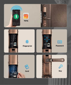 Khóa vân tay Avolock AC 994