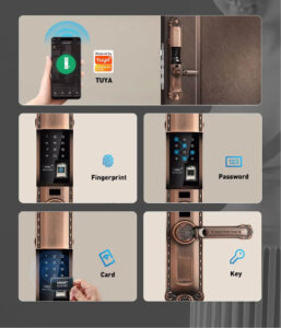 Khóa vân tay Avolock AC 994 Khóa vân tay Avolock AC 994