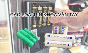 Các loại pin khóa vân tay