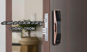 Các Loại Khóa Vân Tay Chống Trộm Bán Chạy 2026 Khóa Vân Tay Chống Trộm