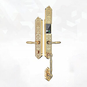 Khóa điện tử đại sảnh Kassler KL-939