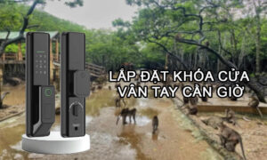Lắp đặt khóa cửa vân tay Cần Giờ