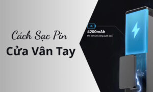 Cách sạc pin cửa vân tay nhanh và an toàn nhất Cách sạc pin cửa vân tay nhanh và an toàn nhất