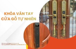 Các mẫu khóa vân tay cửa gỗ tự nhiên cao cấp đáng mua hiện nay
