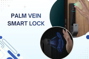 What is Palm vein smart lock? Top best Palm vein lock should buy
