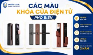 TOP các màu khoá cửa điện tử phổ biến được lựa chọn nhiều hiện nay