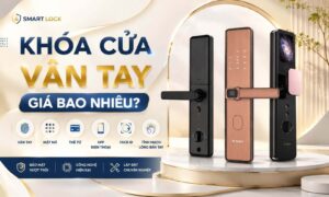 Khóa cửa vân tay giá bao nhiêu, mua ở đâu uy tín