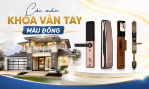 Các mẫu khoá vân tay màu đồng bền, đẹp cho các loại cửa