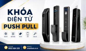 Khóa Điện Tử Push Pull Cao Cấp 30+ Mẫu Đẹp, Đáng Mua
