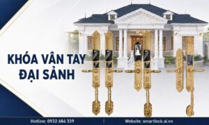 Khóa Vân Tay Đại Sảnh Là Gì? Đặc Điểm, Lưu Ý Trước Khi Chọn