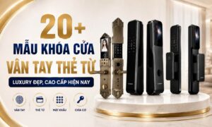 Mẫu khóa cửa vân tay thẻ từ Luxury đẹp, cao cấp hiện nay
