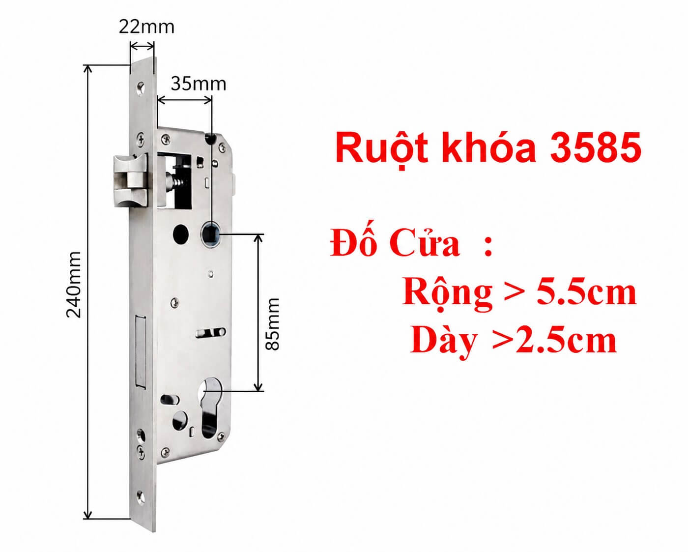 Ruột Khóa Cửa Điện Tử Có Những Loại Nào, Cách Chọn Phù Hợp Ruột khóa 3585