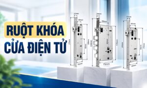 Ruột Khóa Cửa Điện Tử Có Những Loại Nào, Cách Chọn Phù Hợp