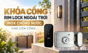 Khóa cổng Rim Lock ngoài trời inox chống nước cho cửa cổng